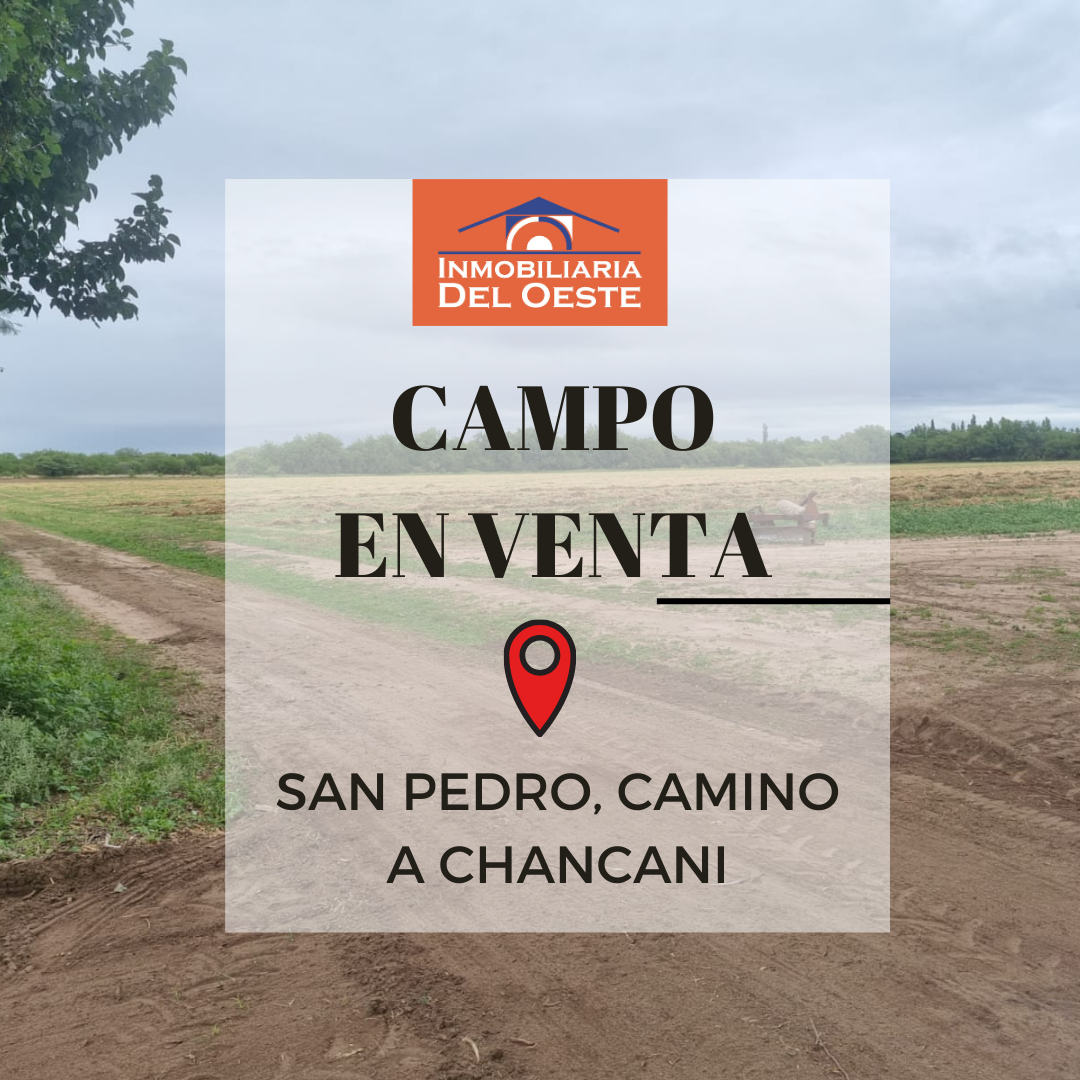 CAMPO EN VENTA, UBICADO EN SAN PEDRO